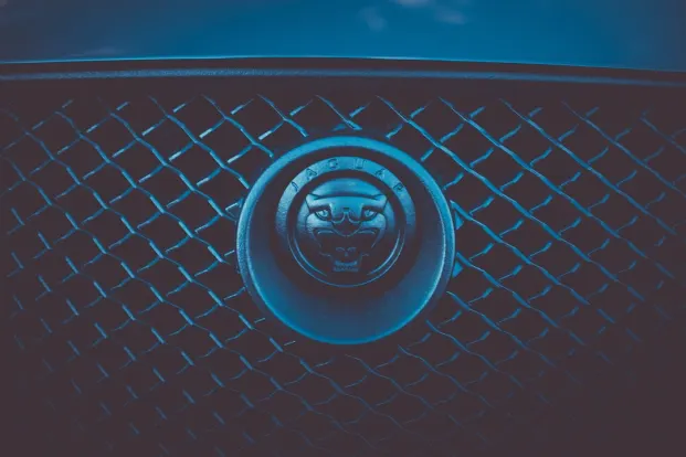 Cleopatra Casino Application Android/iOS